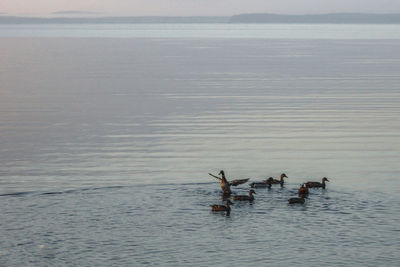 People in sea against sky