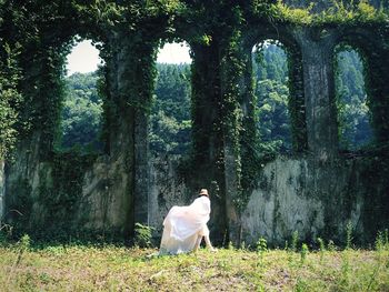 Rear view of woman standing on grass