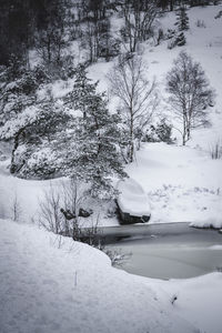 Scenic view of snow covered field