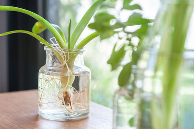 Close-up of glass vase on table