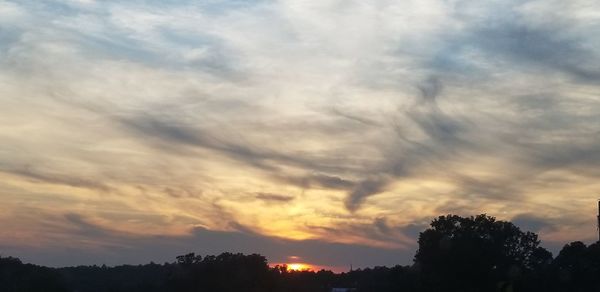 Low angle view of silhouette trees against sky during sunset