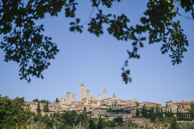 Buildings in city