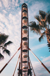 Low angle view of palm trees against sky