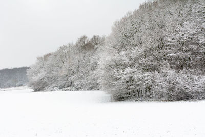 Scenic view of snow covered landscape