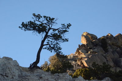 Low angle view of rock formation against clear blue sky