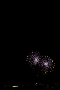 Low angle view of firework display at night