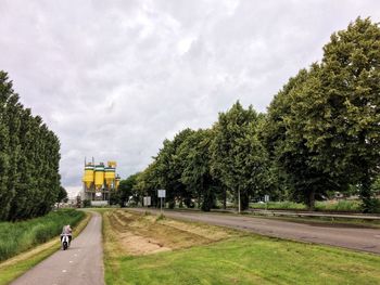 Trees by road against sky