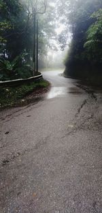 Road amidst trees in forest