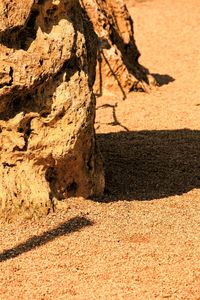 Full frame shot of sand