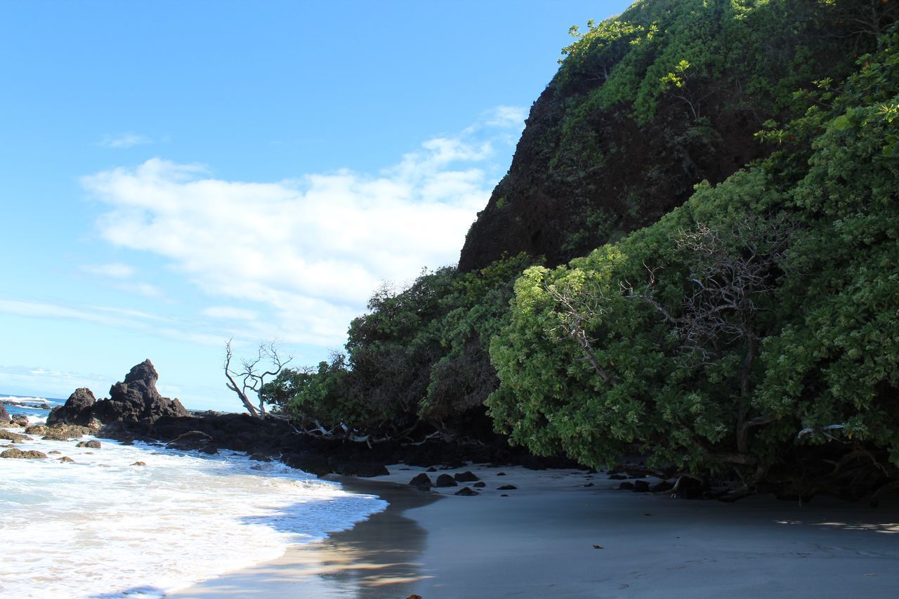 SCENIC VIEW OF SEA