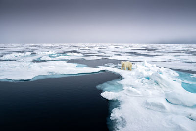 Scenic view of frozen sea against sky