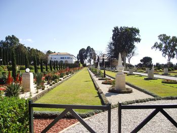 Footpath in garden against clear sky