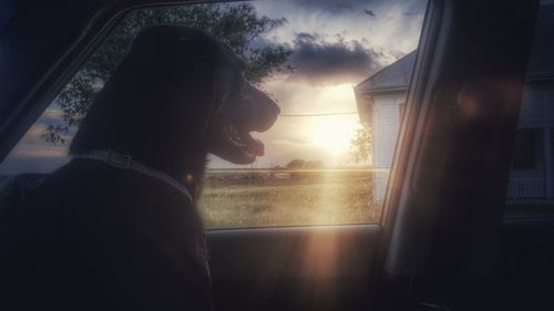 Rear view of woman sitting in train