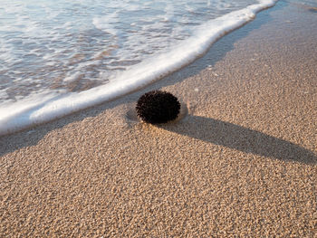 Close-up of sand on beach