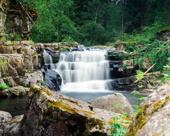 Scenic view of waterfall in forest