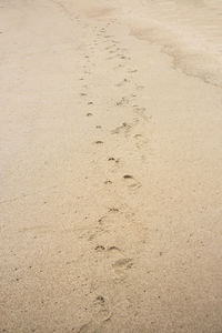 High angle view of footprints on sand at beach