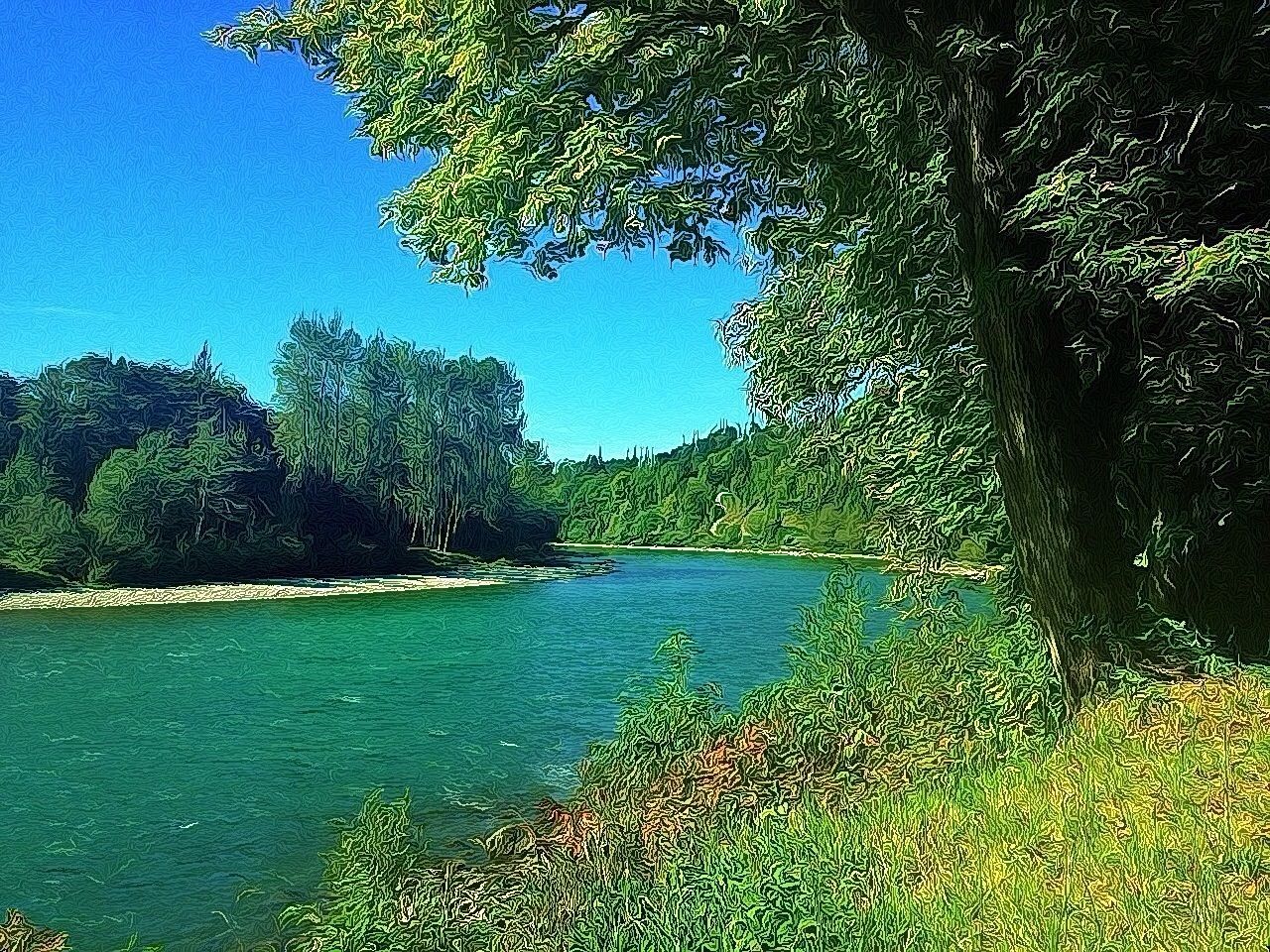 tree, water, tranquility, tranquil scene, growth, scenics, beauty in nature, green color, nature, clear sky, blue, lake, idyllic, plant, sunlight, green, branch, day, lush foliage, river