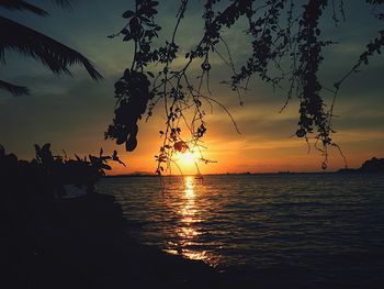 Scenic view of sea during sunset