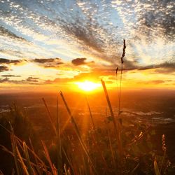 Scenic view of sunset over field