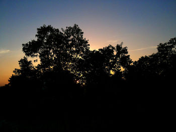 Silhouette trees against sky during sunset