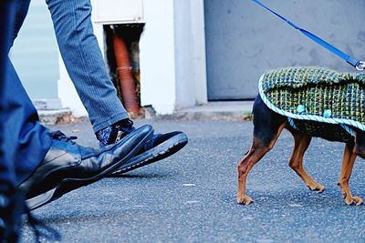 Low section of man with dog