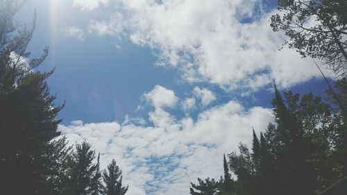 Low angle view of trees against cloudy sky