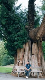 Rear view of woman sitting on tree