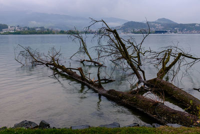 Scenic view of lake against cloudy sky