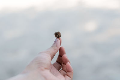 Close-up of hand holding leaf against blurred background