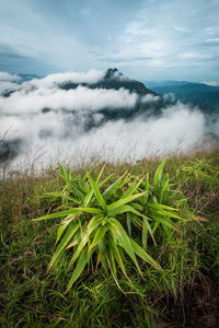 Scenic view of land against sky