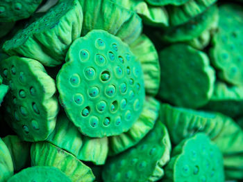 Full frame shot of green beans