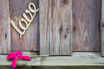 Close-up of flowers on wood