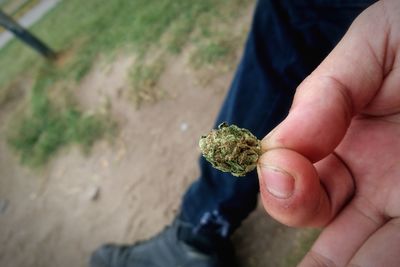 Low section of man holding marijuana joint