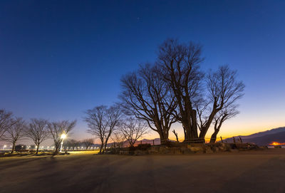 Bare tree on field against sky at night