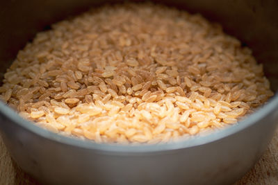 Brown rice grains close-up