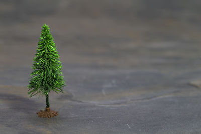 The image shows a model tree on grey slate