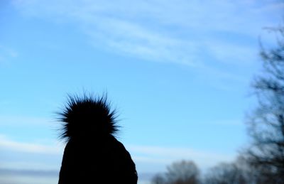 Close-up of silhouette horse against blue sky