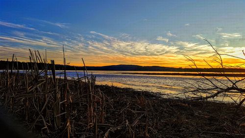 Scenic view of landscape against sky during sunset