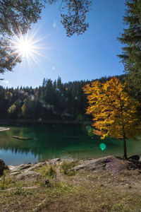 Scenic view of lake against sky on sunny day