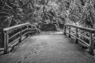 Footbridge in forest