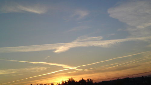 Silhouette of trees at sunset