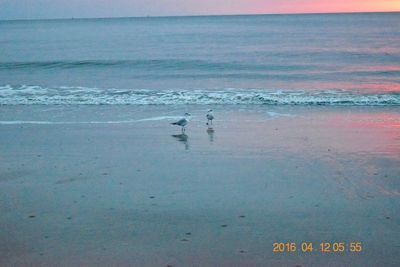 Scenic view of beach