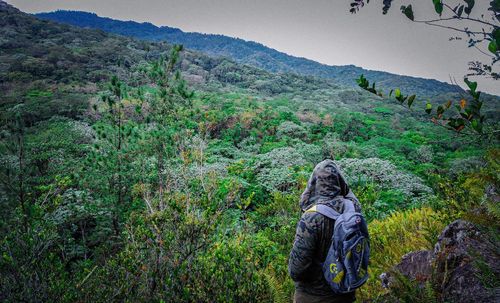 Man looking at mountain