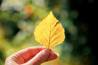 yellow