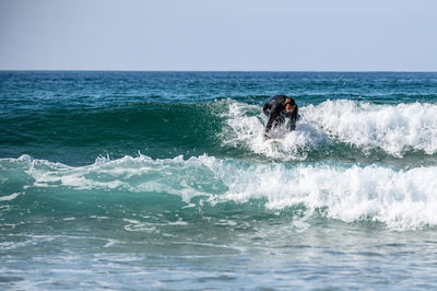 Man surfing in sea against sky