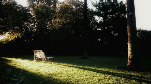 Empty bench in park