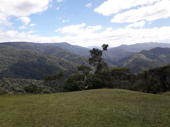 Scenic view of field against sky