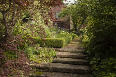 Footpath amidst trees and building