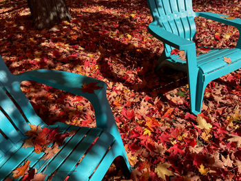 Empty bench in park