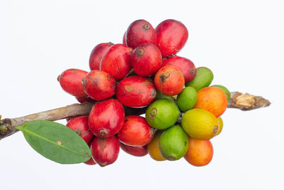 Close-up of apples against white background